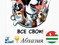 Ветеринарный врач 