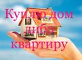 Куплю квартиру/дом