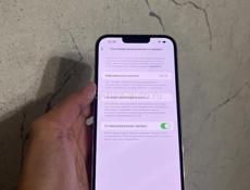 iPhone 13 Pro Max 256gb 