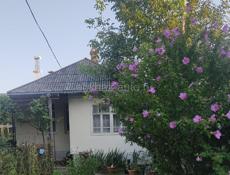 Сдается домик (Маяк) 