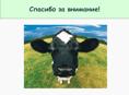 Продается корова 65 кг р.очамчира с.илори все по телефону 