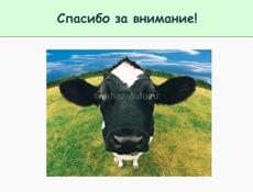 Продается корова 65 кг р.очамчира с.илори все по телефону 