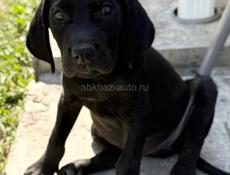 2 маленькие крошки