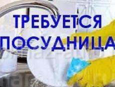 Требуется ПОСУДНИЦА !