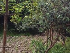 В продаже дом ,в районе Аэропорта Бабушера