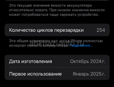 16 Pro 256 Гб