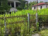 УЧАСТОК АГУДЗЕРА С ВЕТХИМ ДОМОМ 15 СОТОК