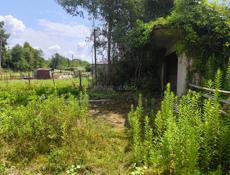 УЧАСТОК АГУДЗЕРА С ВЕТХИМ ДОМОМ 15 СОТОК