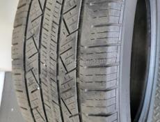 255 50 R19