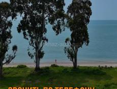 Приморск 20 соток