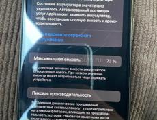 11 Pro Max 256GB