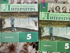 Книги 5 класс