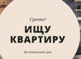 Сниму квартиру