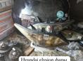Фары Honda Элизион