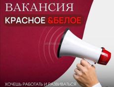 Кассир 