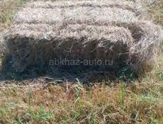 Продаётся сено