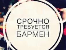 Требуется бармен до ноября