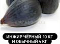 Инжир 
