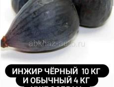 Инжир 