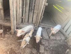 Продаются 