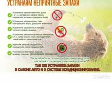 Уничтожение всех видов насекомых 