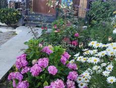 Срочно сниму жилье за 20 000 рублей в месяц 