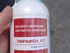 П