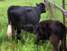 Продам 