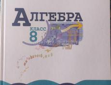 Учебники 8 класс Алгебра, физика, сборник задач по физике, литература, русский язык(внутри тот-же, что в бело-синей обложке) 