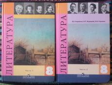 Учебники 8 класс Алгебра, физика, сборник задач по физике, литература, русский язык(внутри тот-же, что в бело-синей обложке) 