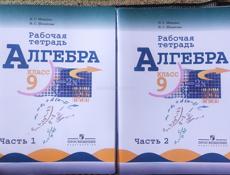 Алгебра рабочая тетрадь