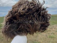 Папаха из козьей шерсти
