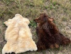 Коврик из шкуры горного ягненка