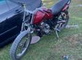 NF Motor