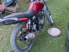 NF Motor