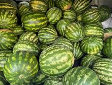 Продам арбуз