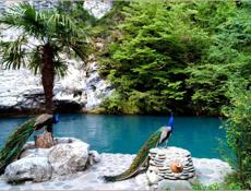 Разное  запчасти 