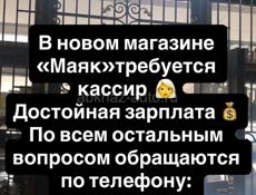 В новом магазине «Маяке» требуется кассир  👩‍🦳 Достойная зарплата 💰  По всем остальным вопросом обращаются по телефону: +79407479999 +79409933078