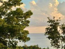 УЧАСТОК 6 СОТОК С ВИДОМ НА МОРЕ В СУХУМЕ НА ТУРБАЗЕ 