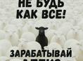 Пассивный заработок,  удаленно
