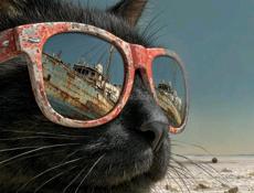 Ищу любую работу ватсап