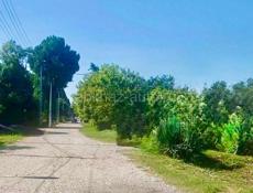УЧАСТОК 6 СОТОК В ЦАНДРИПШЕ ЗА 4,5 млн.₽