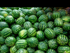 Продаю Арбуз 🍉 От 5к до 10 к