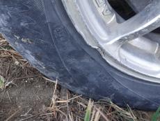 Обмен на 13 штампь