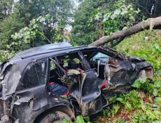 Прадю на разбор Сизуки грант витала 2.0