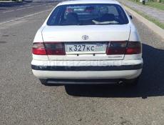Toyota Corona