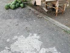 Арбуз по 30р