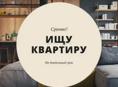 Сниму квартиру 