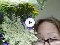 Сниму