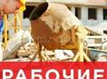 Разнорабочие демонтаж